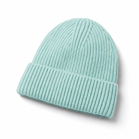 Premium Merino Wool Beanie with Cuff – Soft & Warm Knit Hat thumbnail 39 mint angle