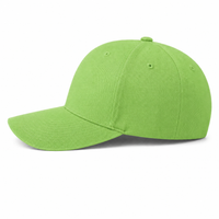 6277 FLEXFIT Structured Baseball Cap thumbnail 46 fresh green left