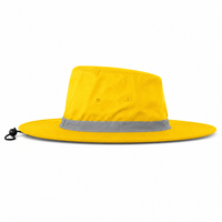 Hi Vis Reflector Safety Hat thumbnail 60 sunflower right