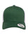 Evergreen/White