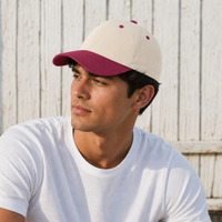 HBC Two-Tone Cap with Iconic Hudson's Bay Stripes thumbnail 113 natural wine moodboard