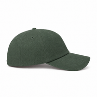 A Frame Dad Hat Unstructured thumbnail 18 bottle right