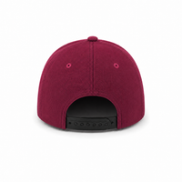 HBC Two-Tone Cap with Iconic Hudson's Bay Stripes thumbnail 111 natural wine back