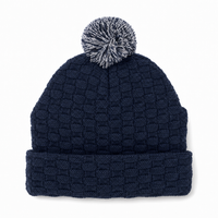 Pom Pom Beanie thumbnail 33 navy,navy,white back