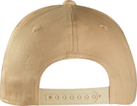 A Frame Flex Cap thumbnail 19