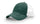 Dark Green/White