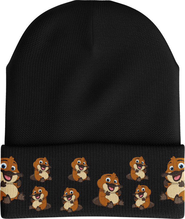 Playa Platypus Insulated Reflective Stripe Beanie