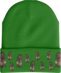 Wally Wombat Insulated Reflective Stripe Beanie thumbnail 1